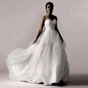 Lilly 3912